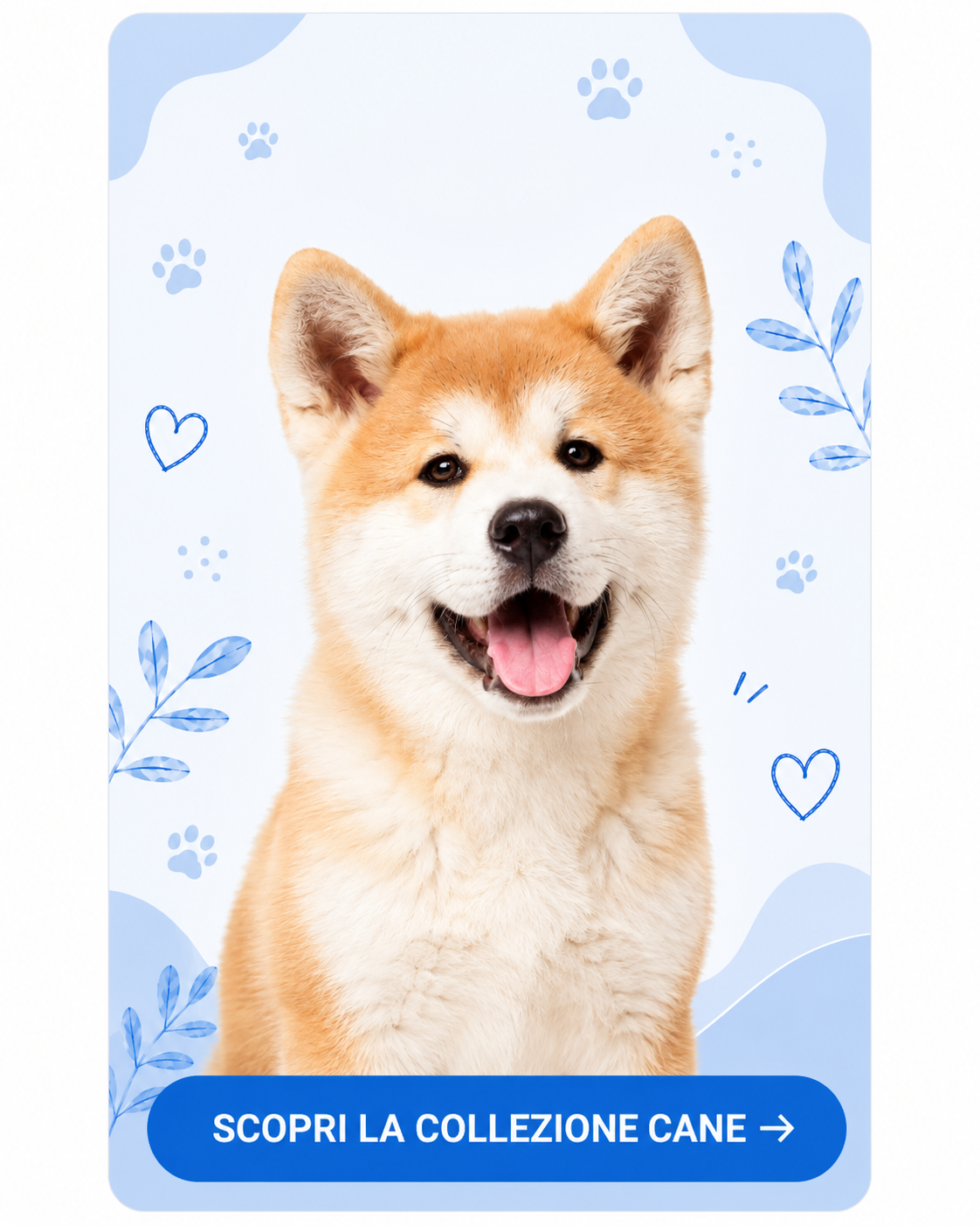 Scopri la collezione cane