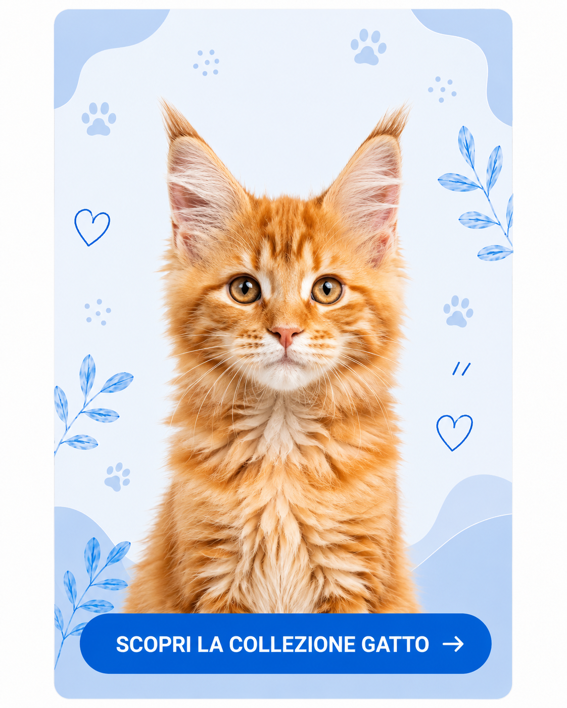Scopri la collezione gatto